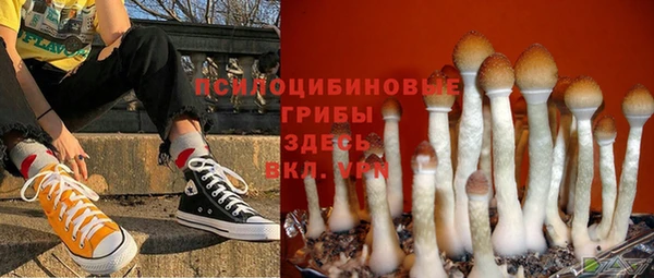 кокаин колумбия Алексин
