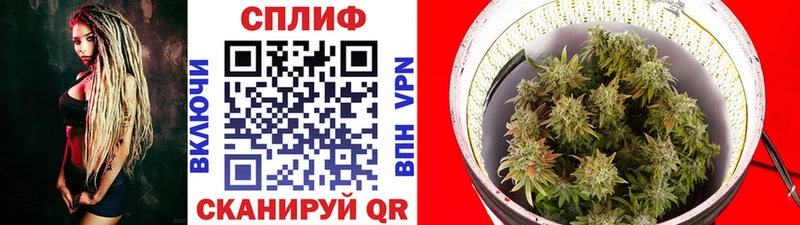Каннабис OG Kush Котельники